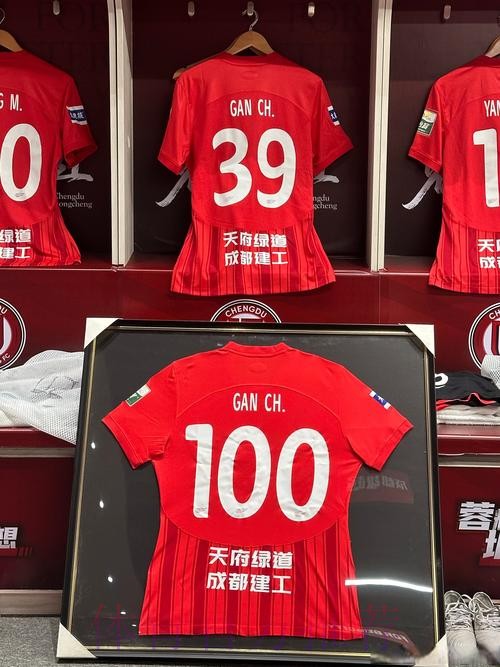 ”挑战2018，胜利2018！“成都足球有你真好